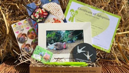 Adopt A Turkey - Digital Or Physical Package | Wowcher